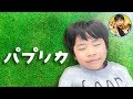 NHK2020応援ソング【パプリカ】　世界観ミュージックビデオごっこ　ダンスおどってみた　公園　5歳児　兄弟