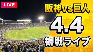 さばかんの配信のサムネイル画像
