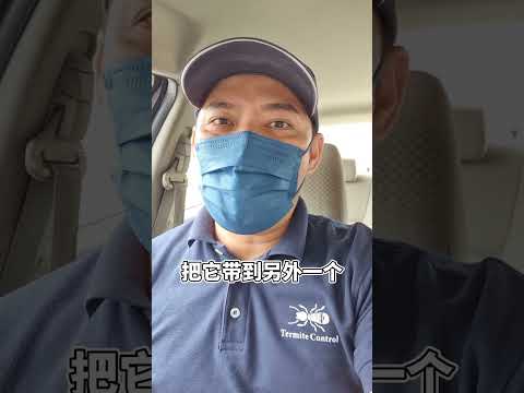 絶対に植えてはいけない！侵略的な樹木7種