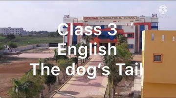 Class 3 The  dog’s tail|the dog’s tail class 3|lesson the dog’s tail|Learnwell
