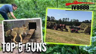 Top 5 Guns For the Modern Homesteader