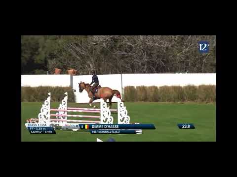 Nemerald - CSIYH1* 6y old - Vejer de la Frontera - 13 02 2024