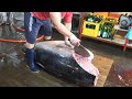 Mesmerizing Bluefin Tuna Masterclass! Attractive Chefs Showcase Exceptional Cutting Skills