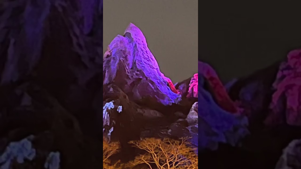 Animal Kingdom 2023 trip. Tree of Life and Expedition Everest at night.