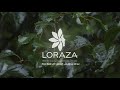 لورازا LORAZA لورازا LORAZA