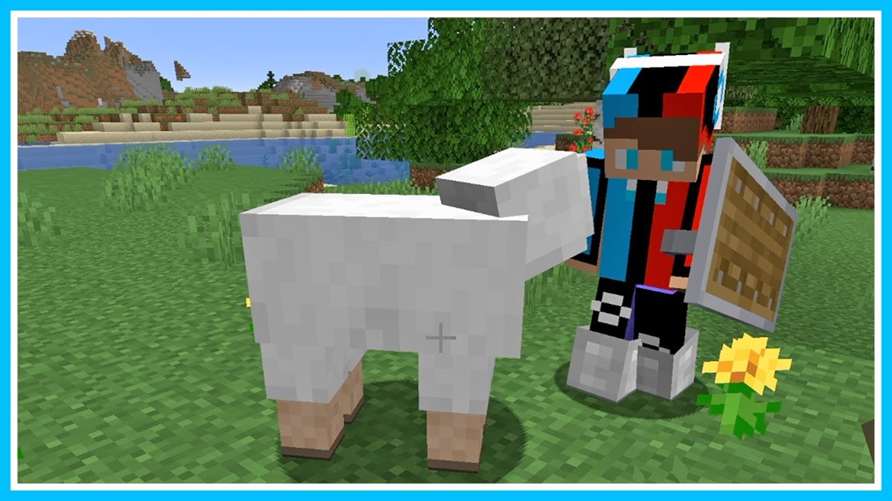 BANG CUPU DAN MIKOCIL PELIHARA DOMBA BUCIN DI MINECRAFT