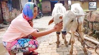 Akshara Singh का यह वीडियो देख आपका दिल खुश हो जाएगा Lehren Bhojpuri