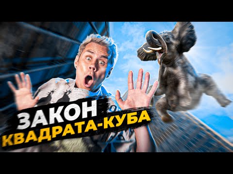 Какой ПРЕДЕЛ ВЫСОТЫ и РАЗМЕРОВ? Закон Квадрата-куба — ТОПЛЕС