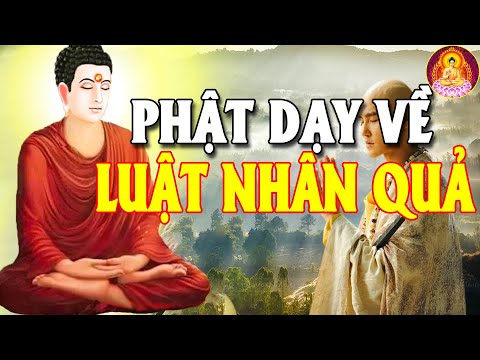 Phật Dạy Luật Nhân Quả Báo Ứng Không Nên Xem Nhẹ Luôn Hiện Hữu Chỉ Là Đến Sớm Hay Muộn Mà Thôi.#MỚI