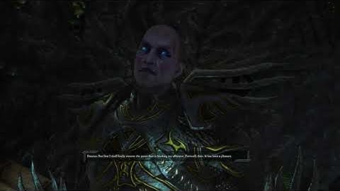 Divinity II: Developer