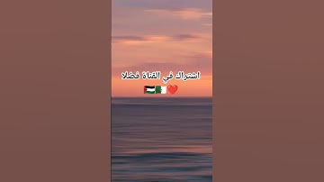 #حالات_واتس #تلاوة_مؤثرة #تلاوة_خاشعة #إسلام_صبحي #حالات #صوت_يريح_القلب #قرآن #صلوا_علي_النبي