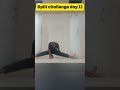 Leg Split tutorial| How to split legs. #flexibility #sidesplit #split #challenge