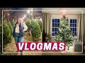 Getting our Christmas Tree + new drugstore make-up! Vlogmas Day 8