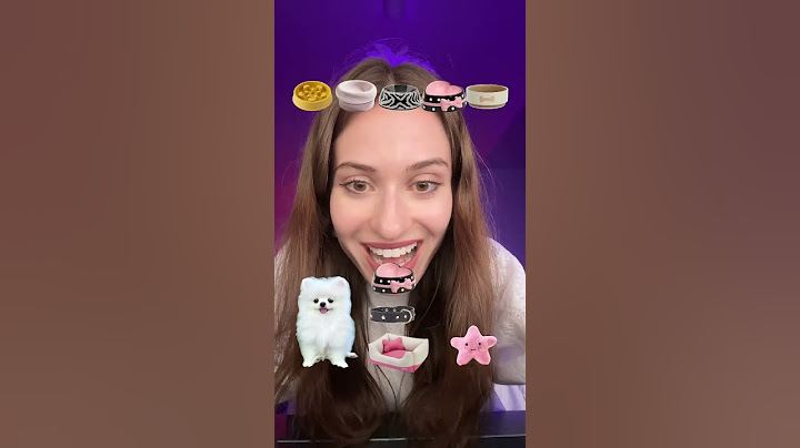 VYBER SO MNOU PSÍKA 🦮