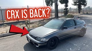 THE BOOSTED CRX RETURNS