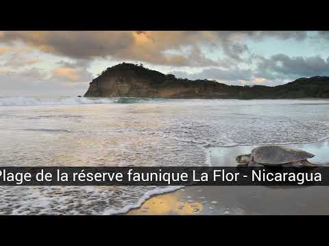Vidéo: Meilleures îles à visiter en Amérique centrale