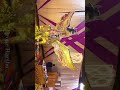 light decoration #rajasthan #wedding #rajasthaniclture #ghoomar4u #decoration#rajasthani #bikaner