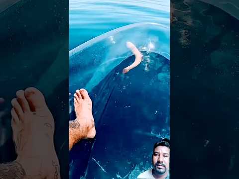 Transparent Kayak Hits Different In Deep Water..