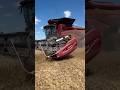CASE IH AF9 Combine #bigtractorpower #caseih #wheat