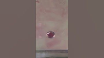 Anti-Bubbles are Amazing!! #newscienceexperiment #shortsfeed #bubble #experiment