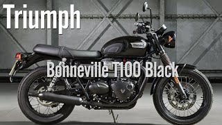 [시승기] T120이 아닌 T100을 산 이유 ∥Triumph bonneville T100 Black