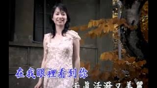 蔡幸娟   真情 2003 MV