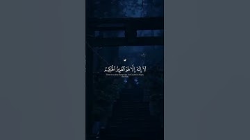 #المصحف #عبدالرحمن_مسعد #قرآن #تلاوة_خاشعة #راحة_نفسية #quran #ارح_قلبك #اكسبلور #الحناجر_الذهبيه