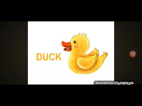 Learn the ABCs: "D" is for Duck