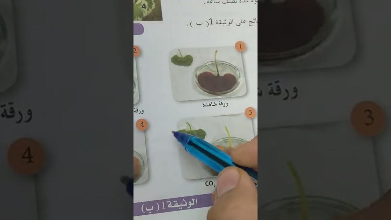شروط عملية التركيب الضوئي عند النبات الاخضر (تحليل نتائج تجريبية) سنة أولى متوسط
