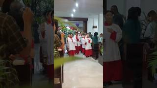 "Mengikuti Jejak Yesus di Minggu Palma: Kemenangan dan Pengabdian"