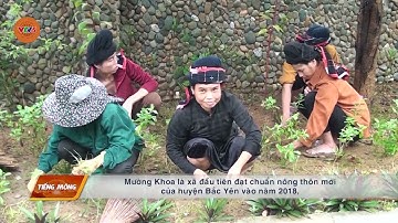 [TIẾNG MÔNG] BẮC YÊN HUY ĐỘNG CÁC NGUỒN LỰC GIẢM NGHÈO BỀN VỮNG | VTV5