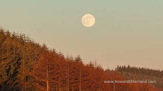 Time lapse of full moon rising over Coed Moel Famau, North Wales