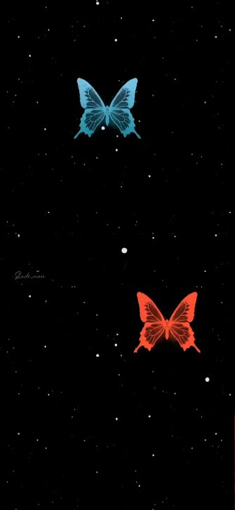 Rauf & Faik это ли счастье?  WITH BUTTERFLY ANIMATION (Full screen Hd)