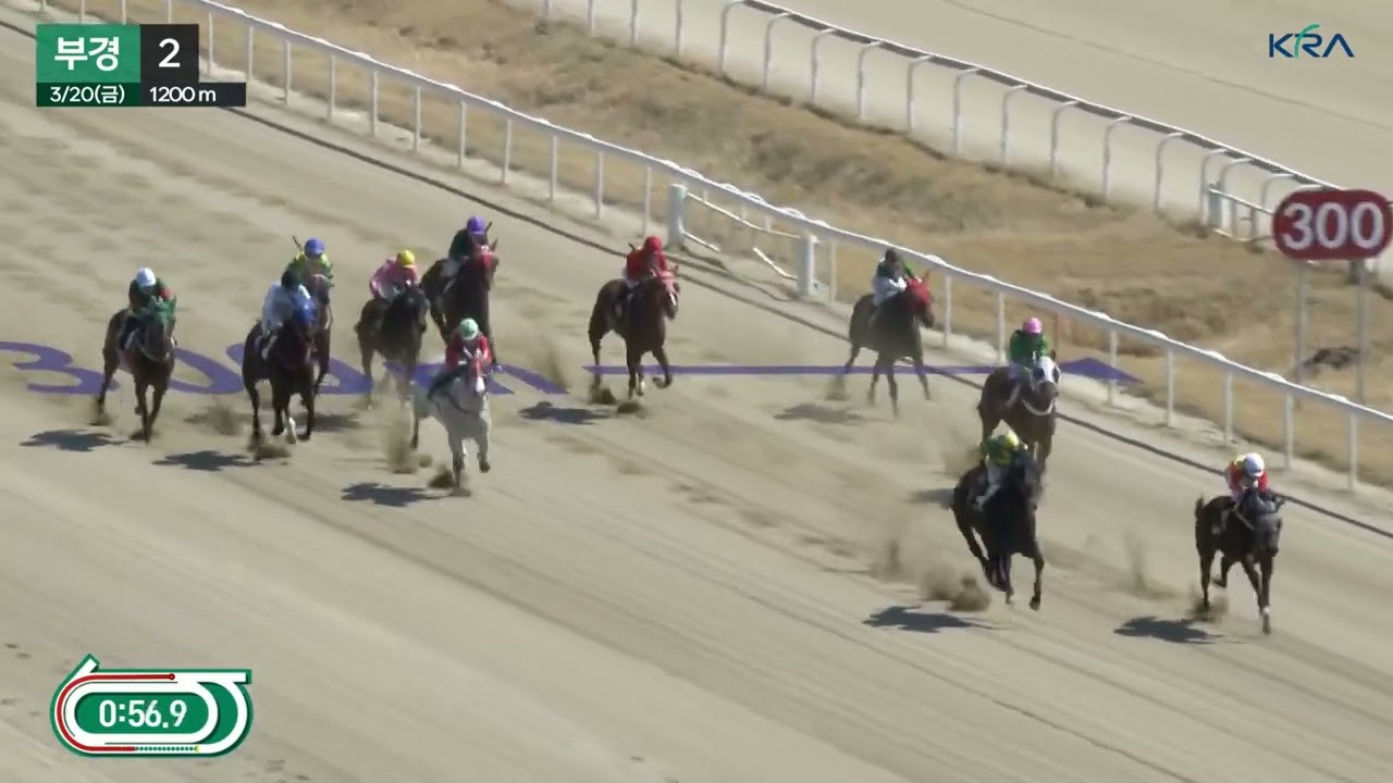 닥터펀치.이효식,선행일순