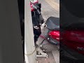 Husky Devours Bike's Seat