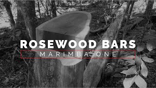 A Deep Dive Into Where We Source The Wood For Our Bars