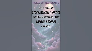 Super-Resolution STORM Microscopy