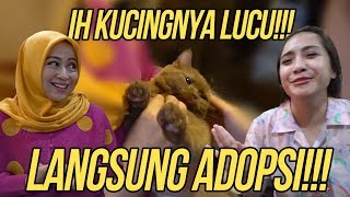 KELAKUAN SUAMI-ISTRI SAMA!! SUKA??!! LANGSUNG BAWA PULANG!!