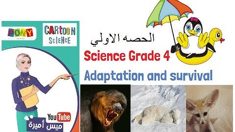 science grade 4 | Adaptation and Survival 2023 | شرح أول درس  منهج الساينس الجديد لسنة رابعة ابتدائي