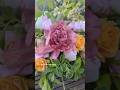 Spring will be here soon! #gardening #flowergarden #flowerarrangement
