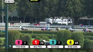 Wise Dan - 2014 Bernard Baruch Handicap G2