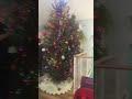 Decorating our Christmas Tree #Hopkins MN# #come see our tree#