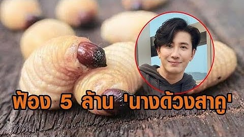 'กรรชัย' เดือด ฟ้อง 5 ล้าน 'นางด้วงสาคู' ลั่นด่าฟรีไม่มีในโลก - ย้อนคลิป 'ลีน่าจัง' พูดถึงพิธีกรดัง