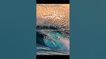 سورة فصلت 💯🤲🌺💟💕💞💖