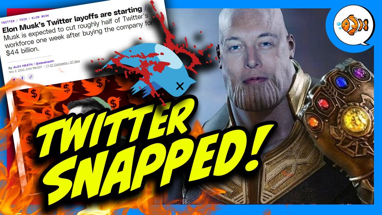 Twitter Gets SNAPPED! Musk Lays Off HALF of Twitter Employees Today!