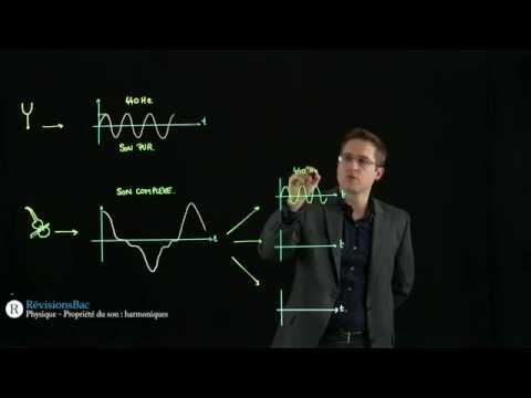 Vidéo: Qui a laissé les harmoniques ?