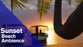 Sunset Beach Ambience