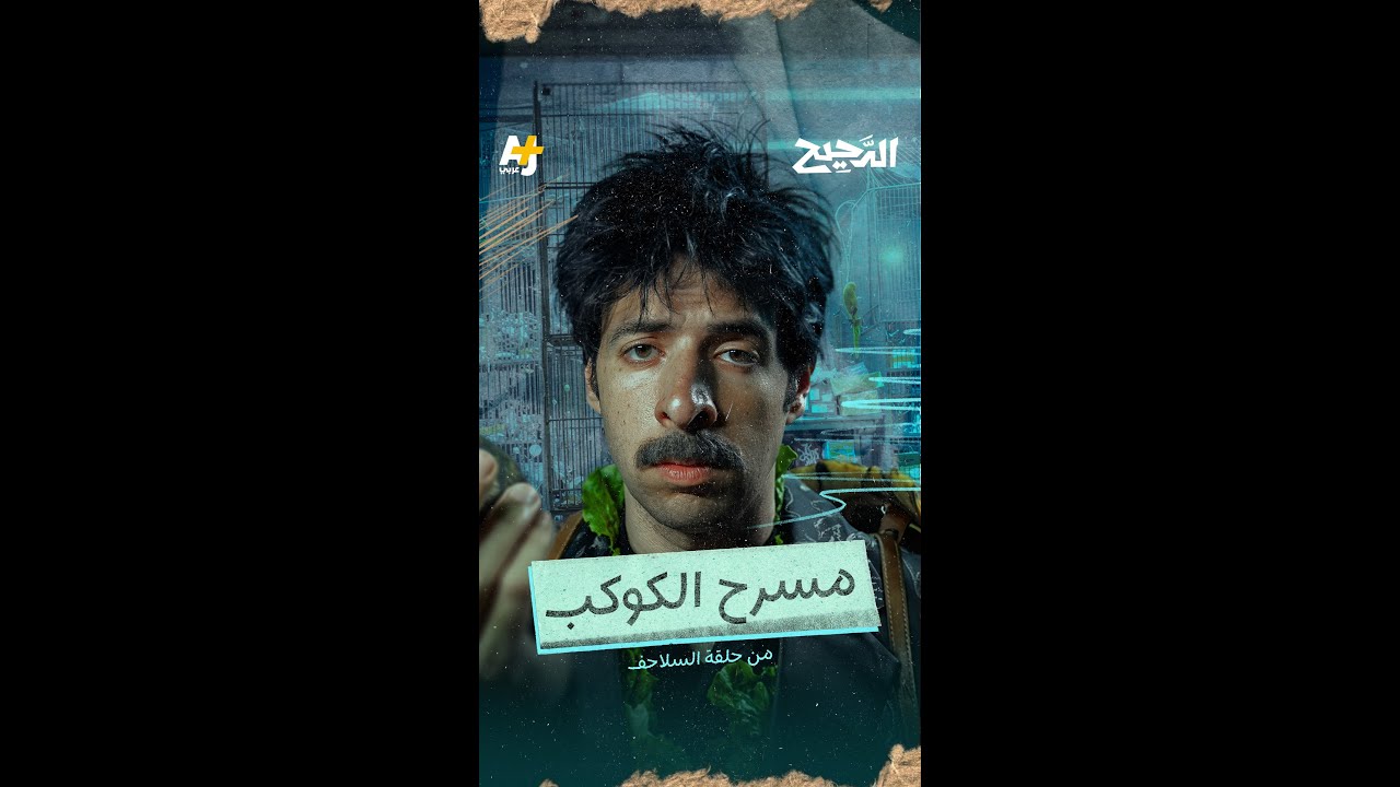الدحيح | السلاحف: أبطأ كائن وأطول نفس
