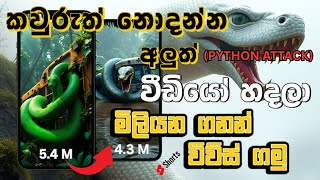 How to make python attacking bus shorts | AI Sinhala tutorials | 2025 TECH WAVES With Razaa screenshot 3