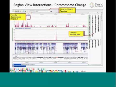 Avadis NGS Genome Browser Highlights